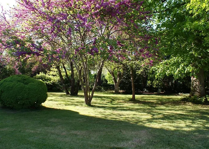 Chateau De Grenier Semesterbostad Saint-Léger