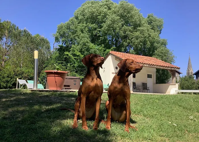 Chateau De Grenier Semesterbostad *